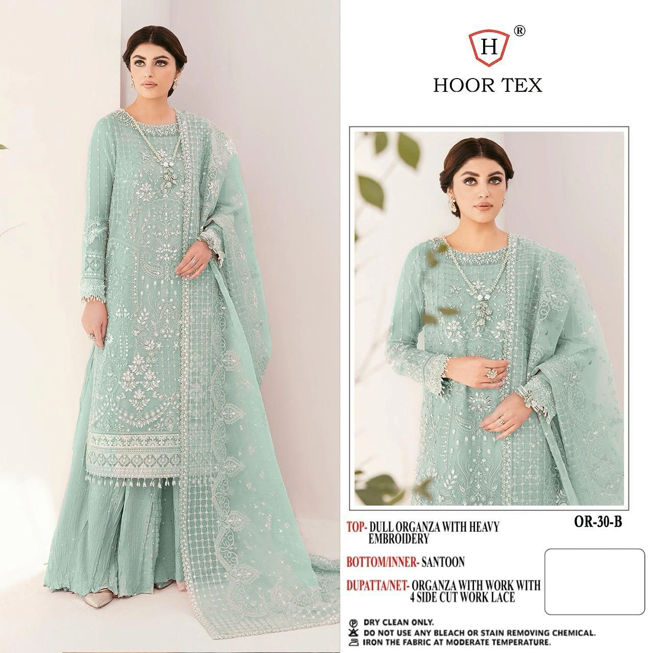 Hoor Tex Or-30,A To D Heavy Organza Wholesale Pakistani Salwar Suit Catalog — Wholesale Pakistani Suits, MPA wholesale from Surat - Gallery Image 6